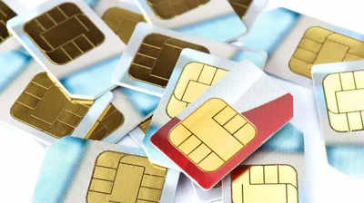 PMD | Sim Information System 2024 12 PMD | Sim Information System 2024